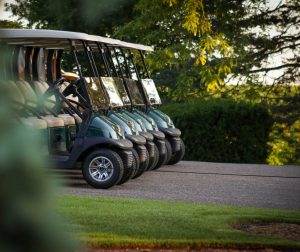 Golf Buggy theft stolen